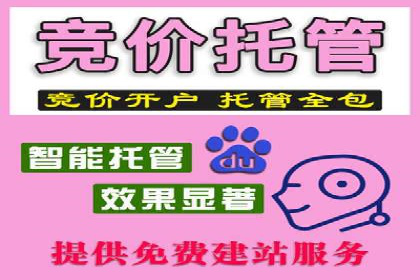 百度推广价格策略：不同阶段案例解析